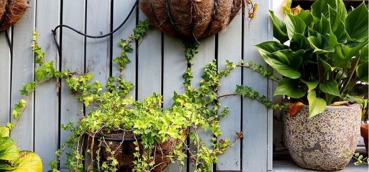 How to Make Outdoor Hanging Planters